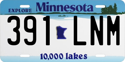 MN license plate 391LNM