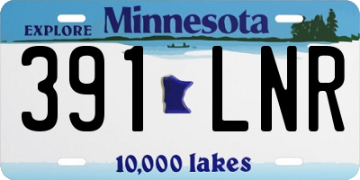 MN license plate 391LNR