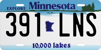 MN license plate 391LNS