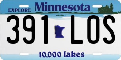 MN license plate 391LOS