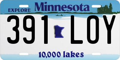 MN license plate 391LOY
