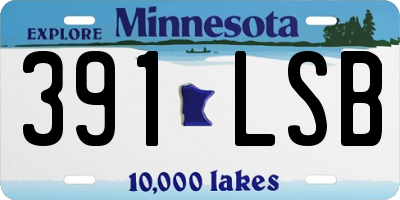 MN license plate 391LSB