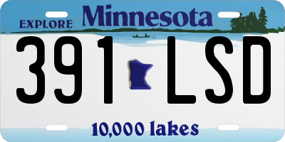 MN license plate 391LSD