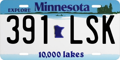MN license plate 391LSK
