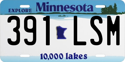 MN license plate 391LSM