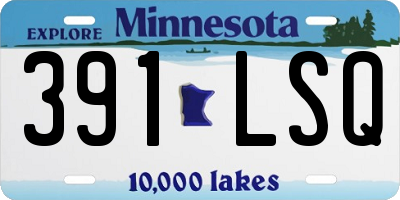 MN license plate 391LSQ