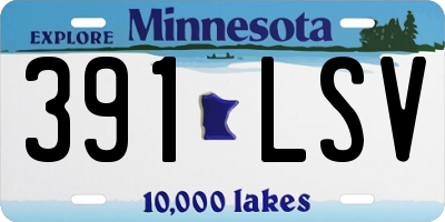 MN license plate 391LSV