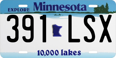 MN license plate 391LSX