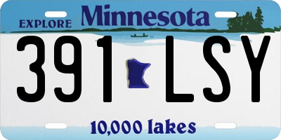 MN license plate 391LSY