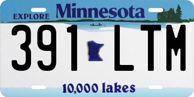 MN license plate 391LTM