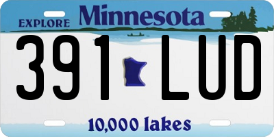 MN license plate 391LUD