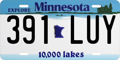 MN license plate 391LUY