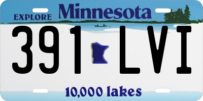 MN license plate 391LVI