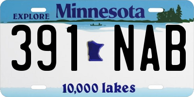 MN license plate 391NAB