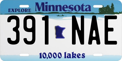 MN license plate 391NAE