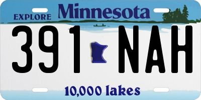 MN license plate 391NAH