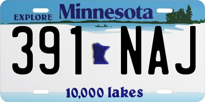 MN license plate 391NAJ