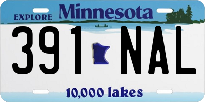 MN license plate 391NAL