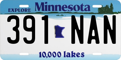 MN license plate 391NAN