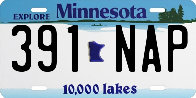MN license plate 391NAP