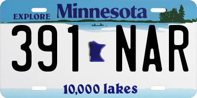 MN license plate 391NAR