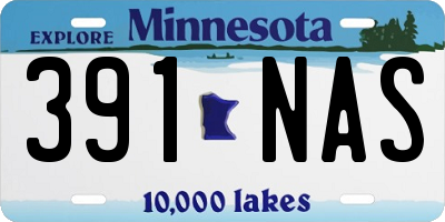 MN license plate 391NAS