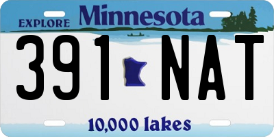 MN license plate 391NAT
