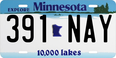 MN license plate 391NAY