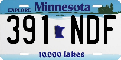 MN license plate 391NDF