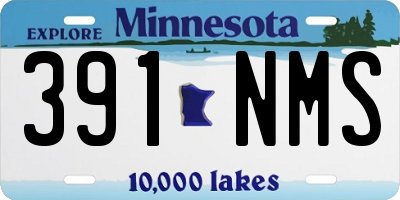MN license plate 391NMS