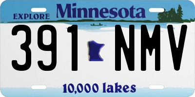 MN license plate 391NMV