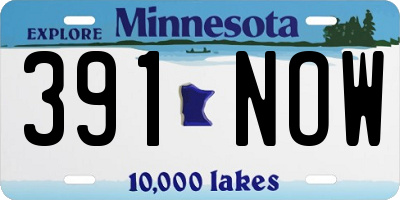 MN license plate 391NOW