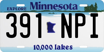 MN license plate 391NPI