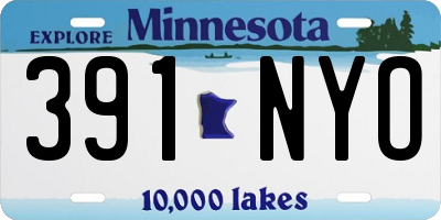 MN license plate 391NYO