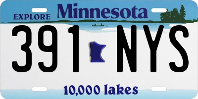 MN license plate 391NYS