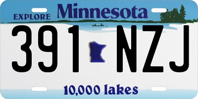MN license plate 391NZJ