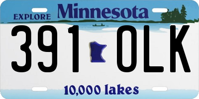 MN license plate 391OLK