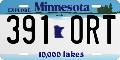 MN license plate 391ORT