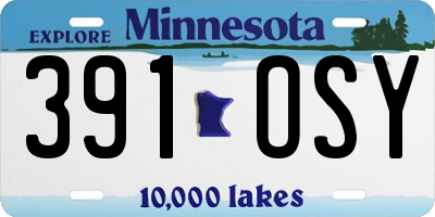 MN license plate 391OSY