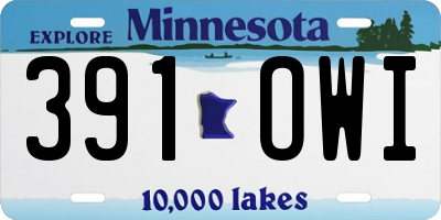 MN license plate 391OWI