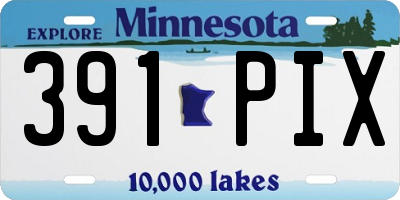 MN license plate 391PIX
