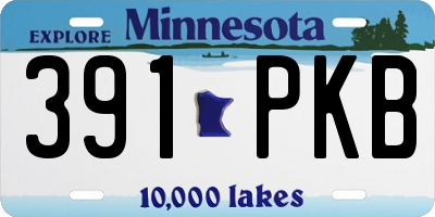 MN license plate 391PKB