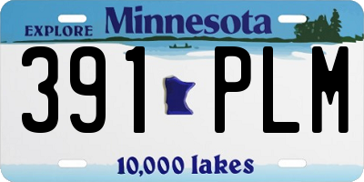 MN license plate 391PLM