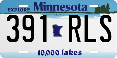 MN license plate 391RLS