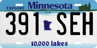 MN license plate 391SEH
