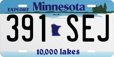 MN license plate 391SEJ
