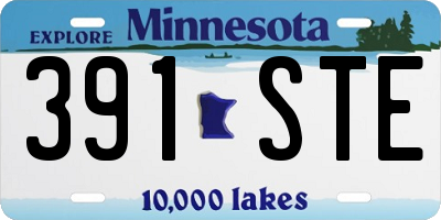 MN license plate 391STE