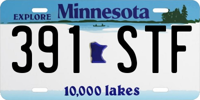 MN license plate 391STF