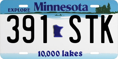 MN license plate 391STK