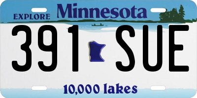 MN license plate 391SUE